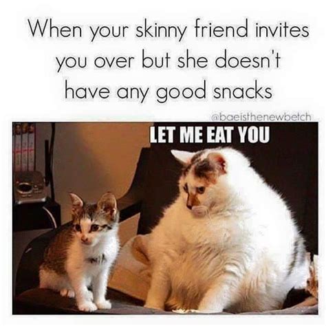 Take The Best Of Funny Food Cat Memes Hilarious Pets Pictures