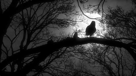 Scary Creepy Crow Or Raven Sitting On Tree Branch During A Full Moon
