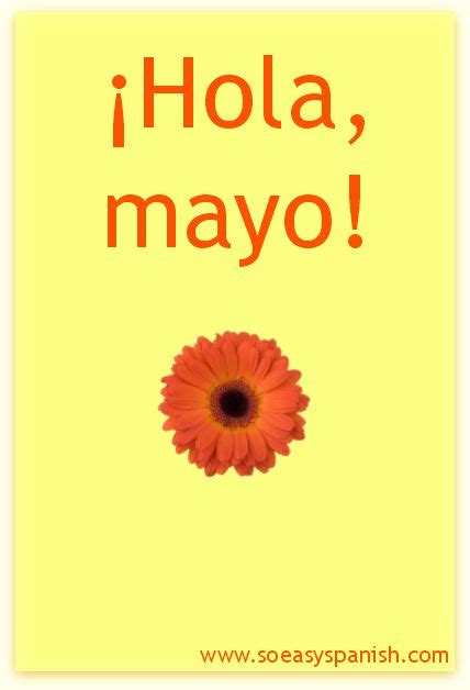 ¡hola Mayo Spanish Español