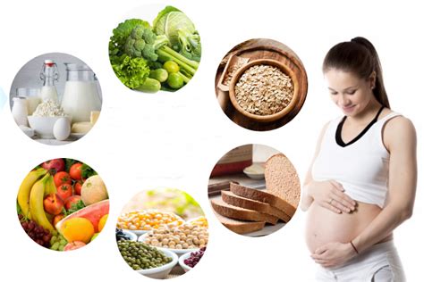 What Are The Diet During Pregnancy Diet Blog