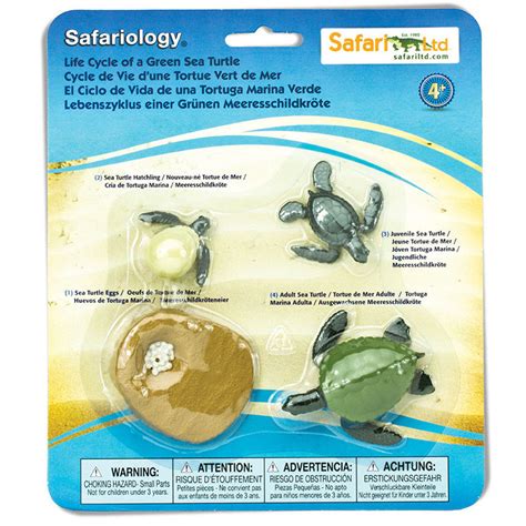 Safari Ltd Life Cycle Of A Green Sea Turtle 662316 Free Shipping