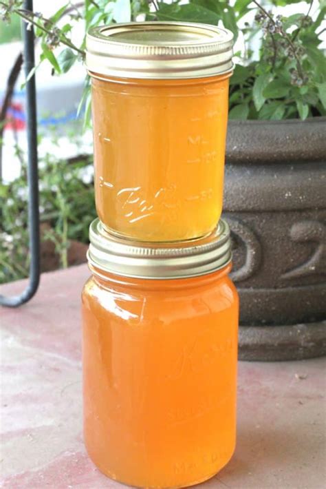 The excess can be blotted out gently using a tissue. Apricot Jelly Canning Recipe - Creative Homemaking
