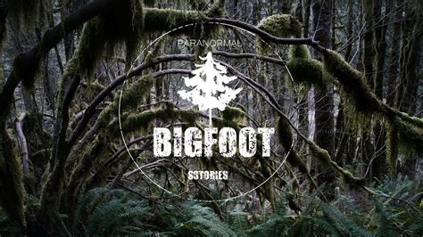 The Killing And Coverup Of Two Bigfoot Sasquatch Encounters Youtube