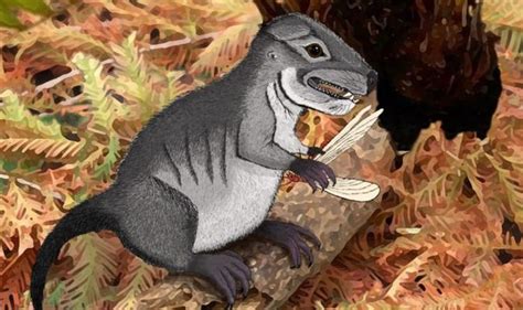 Palaeontology Discovery Of 220 Million Year Fossil Sheds New Light On