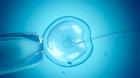 Busting 4 Myths About Ivf Methodist Health System Omaha Council