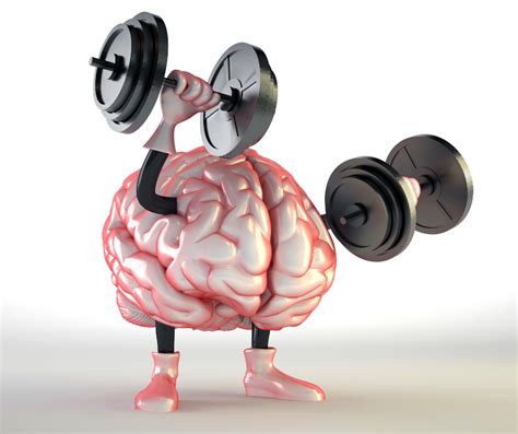 Exercise Can Improve Cognitive Function Better Humans