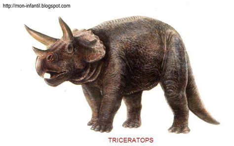 Triceratops Box Lion Sculpture Mammals Dinosaur