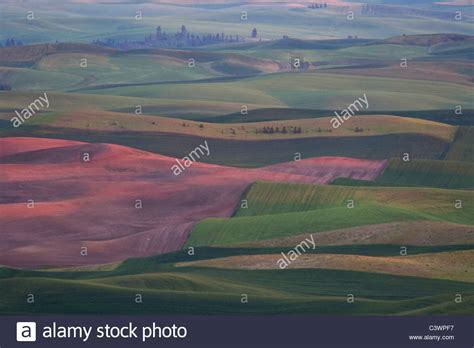 Agricultural Crop Stock Photos & Agricultural Crop Stock Images - Alamy