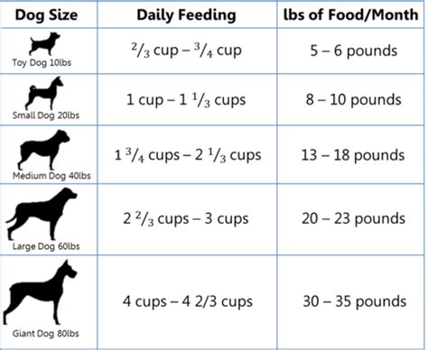 Freeze dried dog foods are a kind of dry dog food. How much food does my dog need? - Lake Erie Pet Food Co.