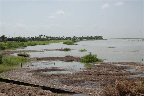 Mercedes, tx severe weather alertstar_ratehome. Mary Birds: Rio Grande Flood - Llano Grande Floodway; photos from July 16, 2010