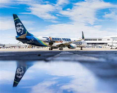 In Photos A Look At Alaska Airlines Special Liveries Laptrinhx News