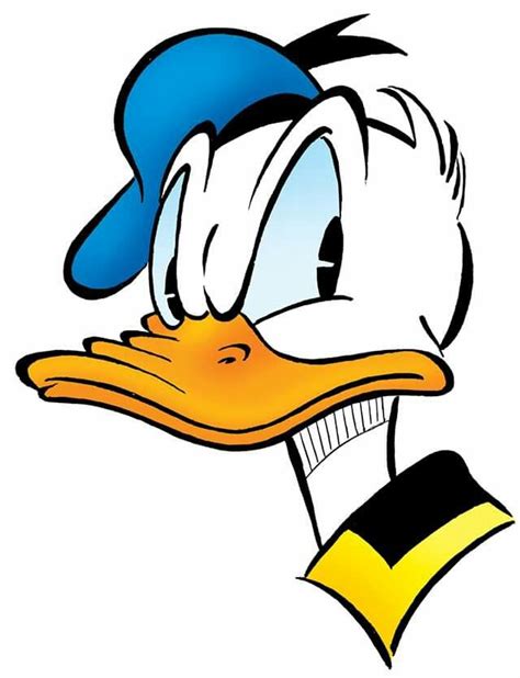 Donald The Duck Wearing A Blue Hat