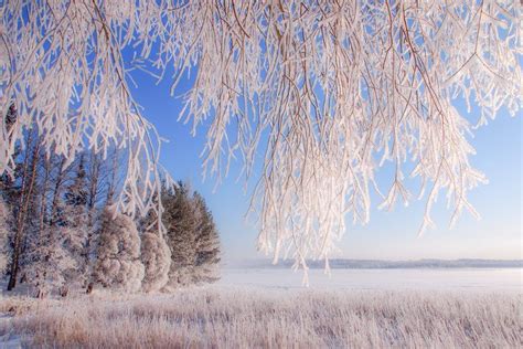 ~ Winter Wonderland Finally Snow In Lapland Finland By Pyry Luminen