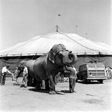Ringling Brothers Circus Behind The Scenes Under The Big Top 1949 Time