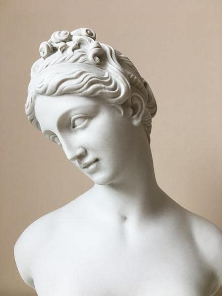 Venus Bust Sculpture Goddess Of Love In 2020 Bust Sculpture