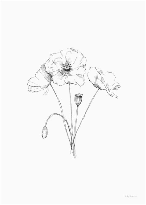 Printables Poppy Poppy Drawing Poppies Tattoo Poppy Sketch