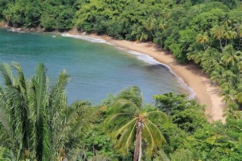 englishman s bay all you need to know before you go 2024 caribbean travel tobago travel