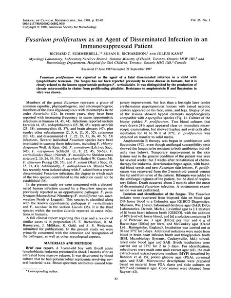 Pdf Fusarium Proliferatum As An Agent Of Disseminated Infection In An