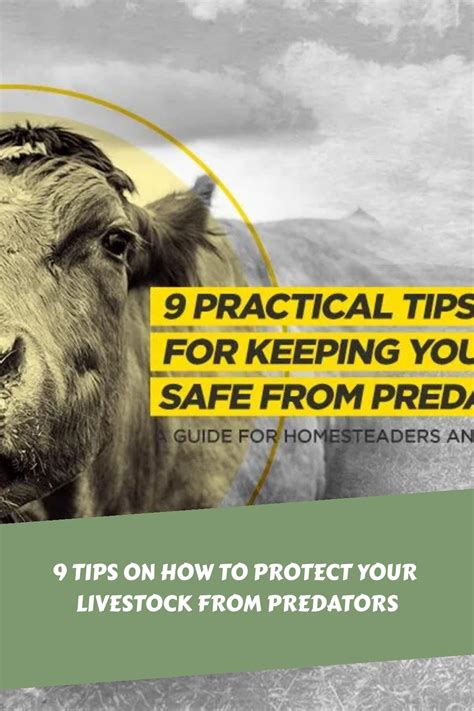 9 Tips On How To Protect Your Livestock From Predators Reformation Acres
