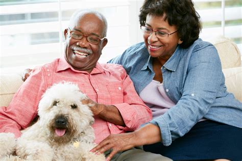 5 Benefits Of Interacting With Animals For Seniors