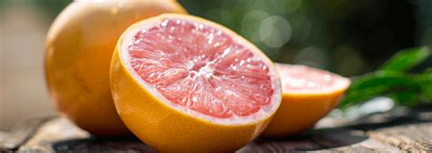Get free shipping offers and 30% off deals from the original florida juice company only at couponannie.com. Florida Orange Juice & Grapefruit | Florida Department of ...