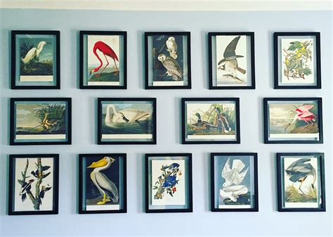 Gallery Wall Framed Audubon Bird Prints Audubon Prints Bird