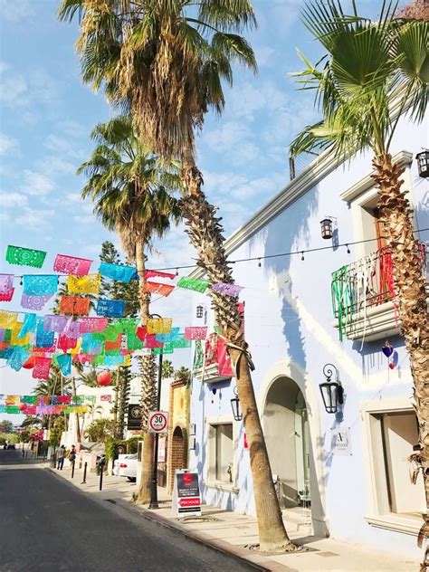 Art Lovers Are Flocking To Cabo And Heres Why San Jose Del Cabo
