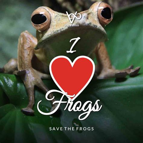 I Love Frogs Save Frogs Slogans And Quotes World Frog Day