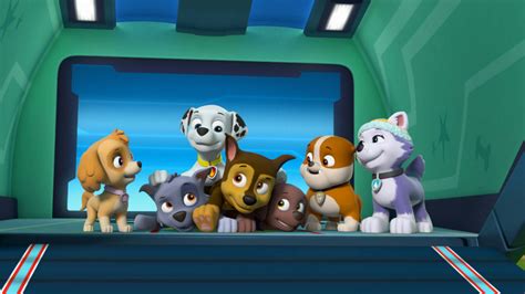 Watch Paw Patrol Season 5 Episode 22 Pups Save A Frozen Camp Outpups