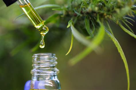 Aceite Cbd Qu Es Propiedades Y Beneficios