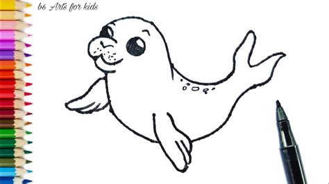 How To Draw A Baby Seal Youtube