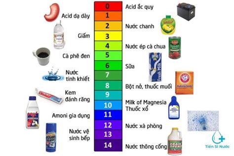 pH trong nước là gì Cách cân bằng độ pH của nước