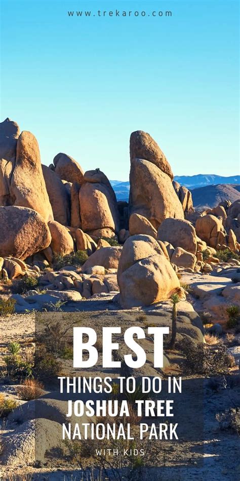 The Best Things To Do In Joshua Tree With Kids Plus Tips For Your Trip