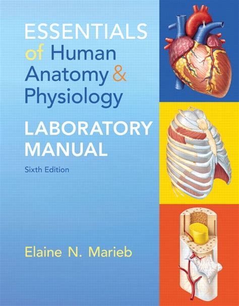 Human Anatomy Laboratory Manual Eckel