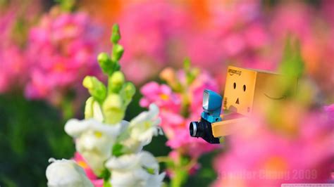 Once you are done, you can play around with an array of 3d, screen resolution, and tiling options available, and choose one that. Photo - cute Danbo Wallpaper full HD | Gallery Wallpaper HD