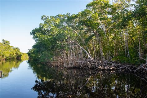 The Best Things To Do In Everglades National Park Your Ultimate Guide