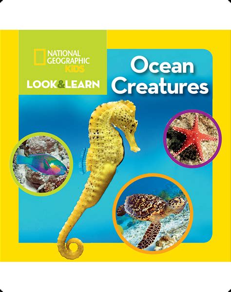 National Geographic Kids Look And Learn Ocean Creatures Childrens