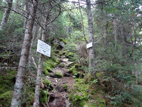 Hike Mt Jefferson Via The Castle Trail In The Nh Presidential Range