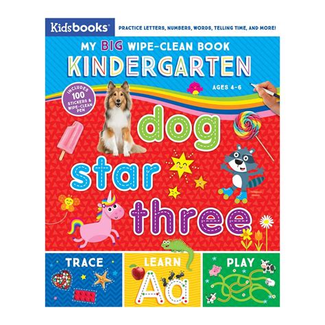 My Big Wipe Clean Book Kindergarten Practice Abcs 123s Colors
