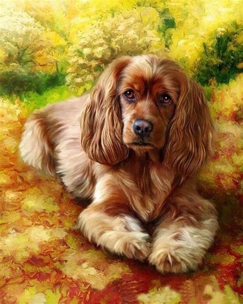 Brown Dog Animals Paint By Number Paint By Numbers For Adult