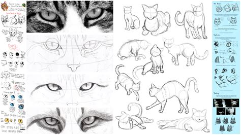 20 Adorable Tutorials On How To Draw A Cat The Things To Draw Journey