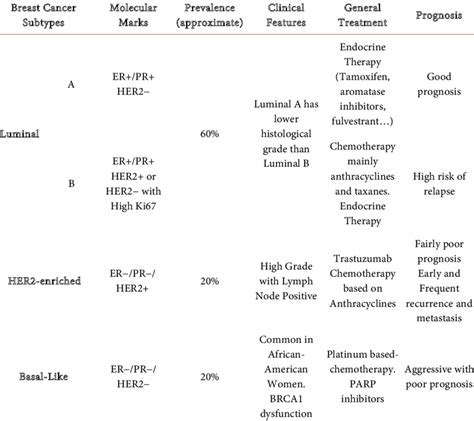 Breast Cancer Subtypes Molecular Marks Clinical Features General