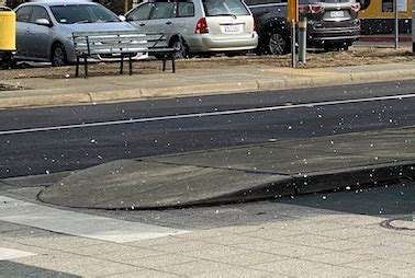 Snow fell in act's canberra outside parliament house, on hills to the east, and in goulburn. Snow flurries and a cold warning for lamb losses ...