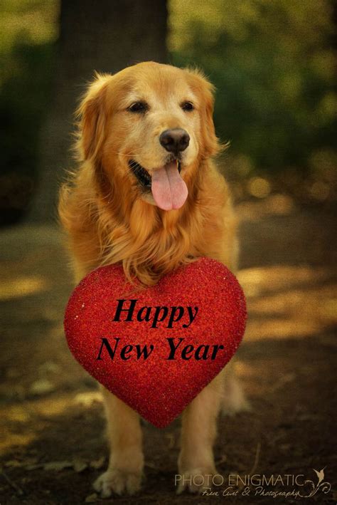 Log in to save gifs you like, get a customized gif feed, or follow interesting gif creators. 36 best HAPPY NEW YEAR PAWTY images on Pinterest | Dogs, Fiesta party and Happy new year