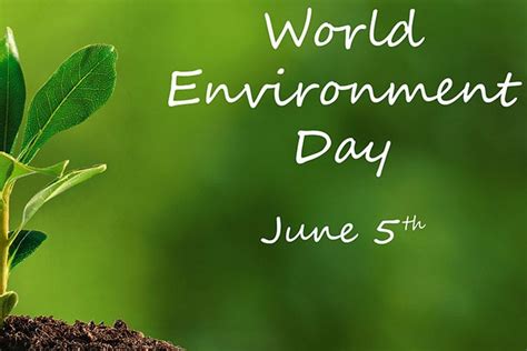 World Environment Day 2020 Limerick Diocese