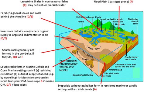 Organofacies Schematic Depositional Environment Model From Pepper My