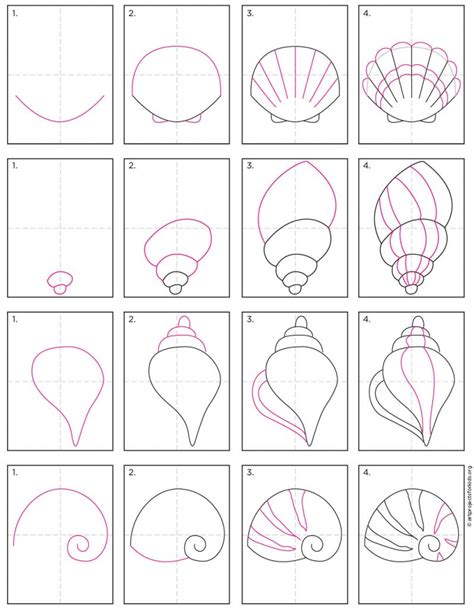 How To Draw A Shell
