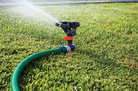 Lawn Watering Tips Yard Smart