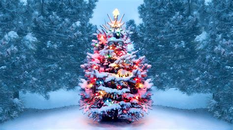 Christmas Tree With Snow And Lights Decoration Hd