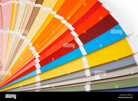 Color Guide Assortment Of Colors For Design Colors Palette Fan White